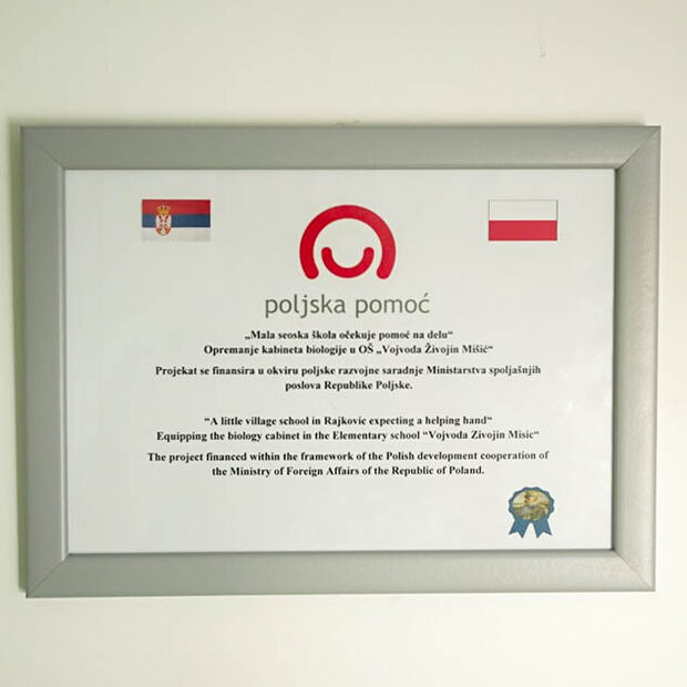 poljska rajkovic 8