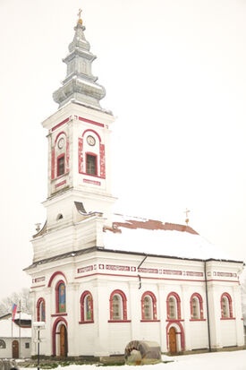zlatnici 3