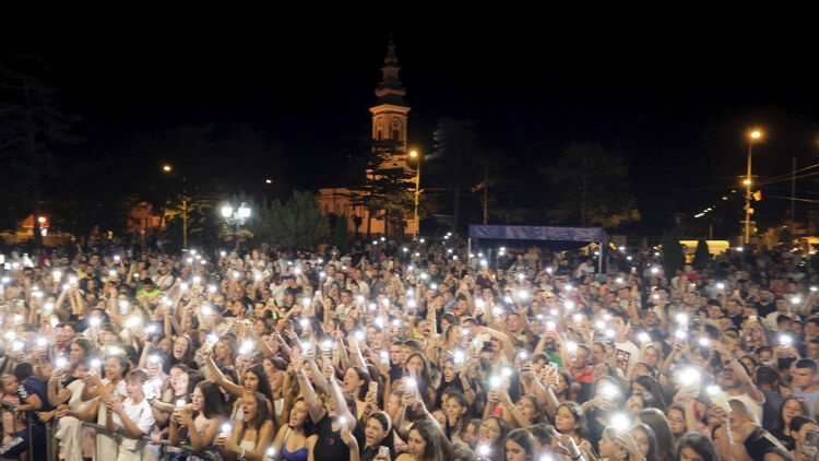 Mišićevi dani arhiva 1